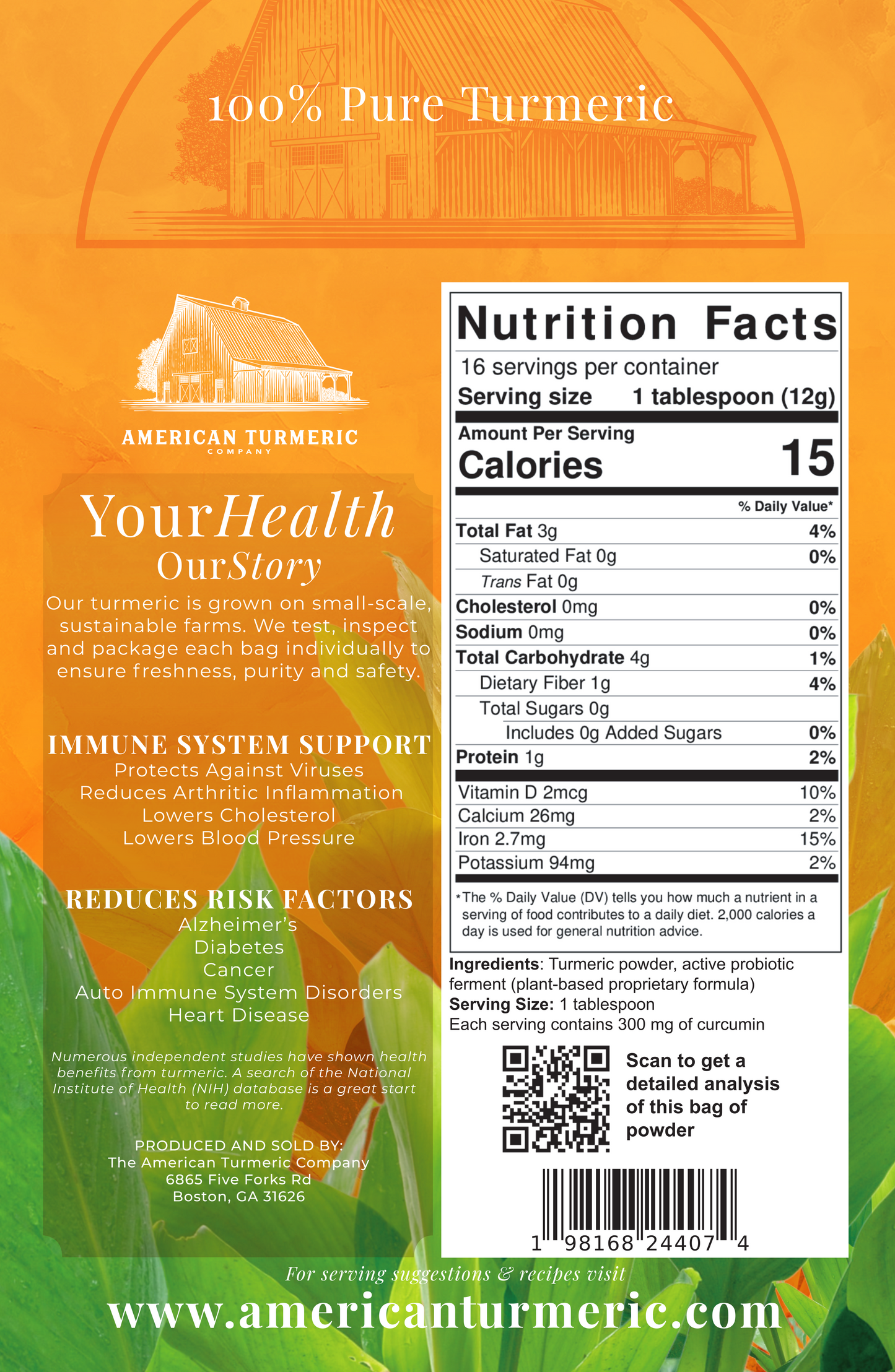 Organic Fermented Turmeric & Ginger Powder Bundle – Synergistic Clean Wellness