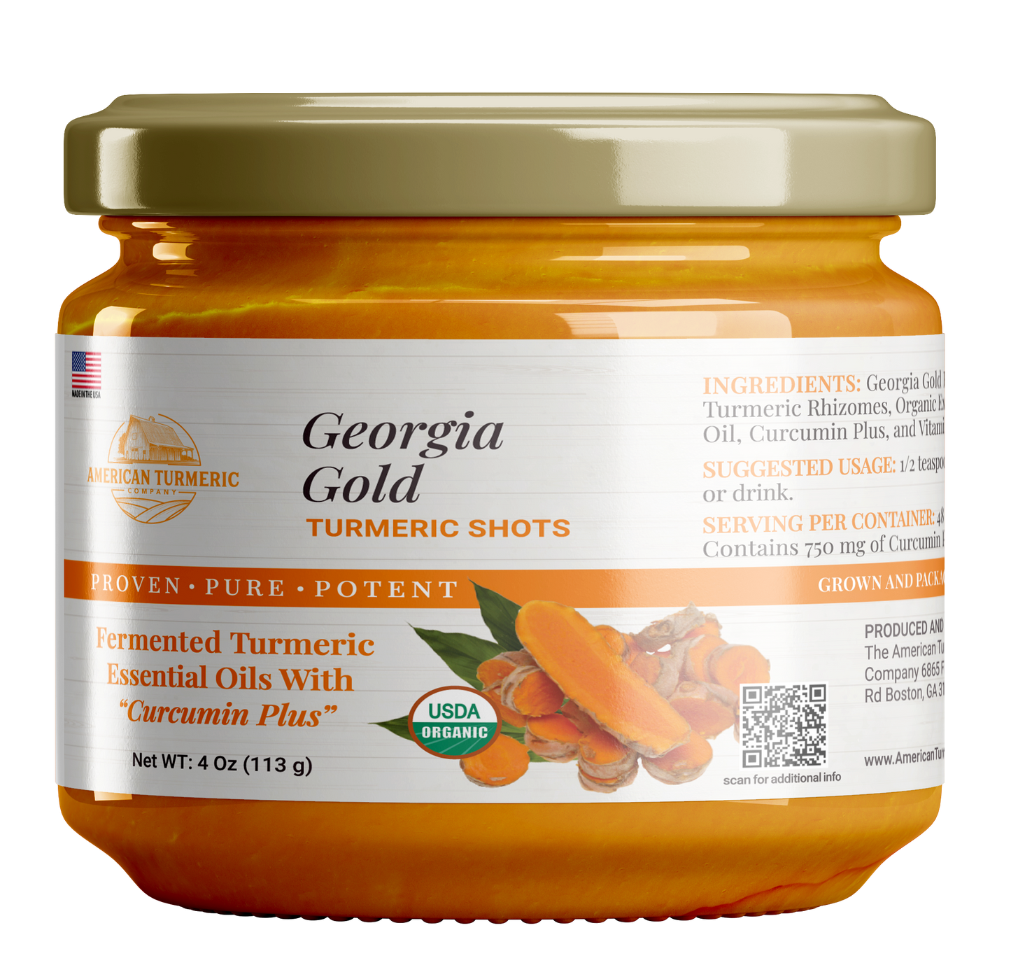 Fermented Probiotic Turmeric Puree'