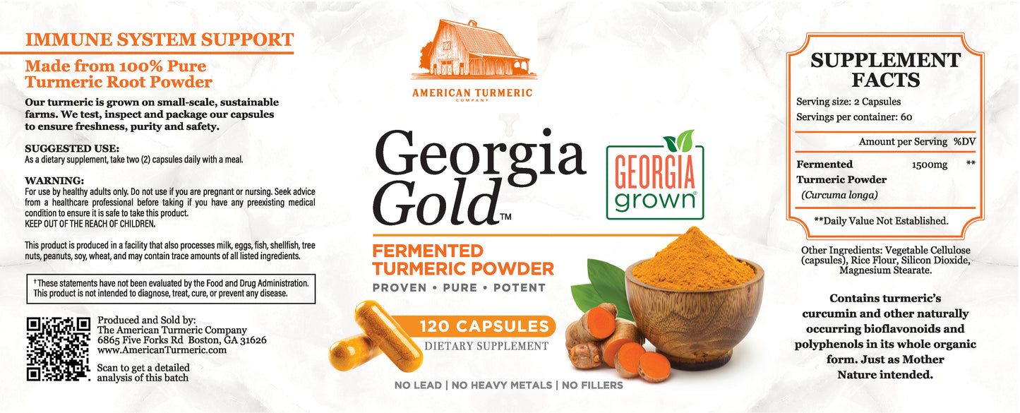 Fermented Probiotic Turmeric Puree'