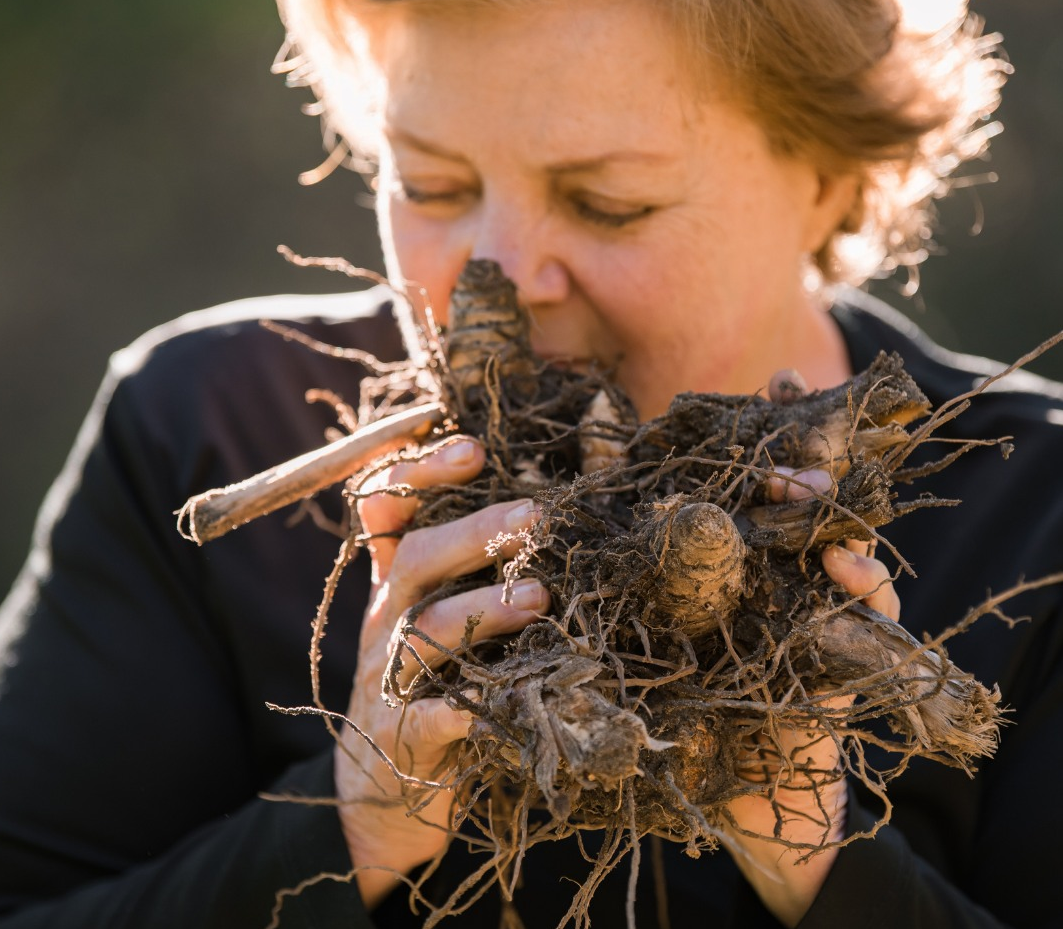 Capture the Essence of Turmeric’s Healing Power with Fermented Potency: CurcumaMAX Turmeric Oil